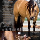 NRCHA Hackamore Classic Int. Non Pro Bridle Champions Janiejill Tointon & Shining Lil Nic. Congratulations!