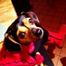 Chuy and I are Wearing Red today in honor of Women’s Heart Health – Jayne Wayne Web Design