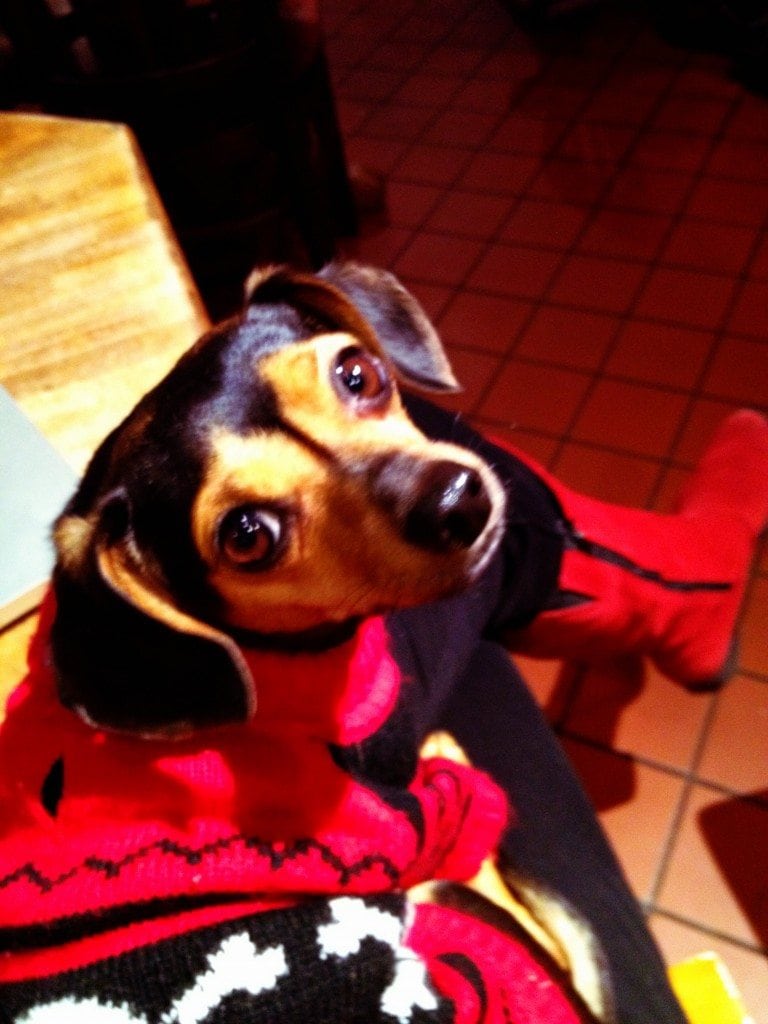 Chuy & Jayne Wayne wearing red in honor of Women's Heart Health