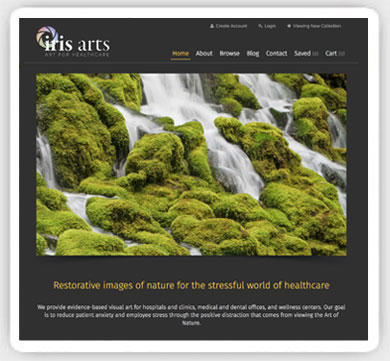 Irisarts