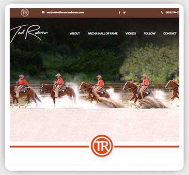 equine web design