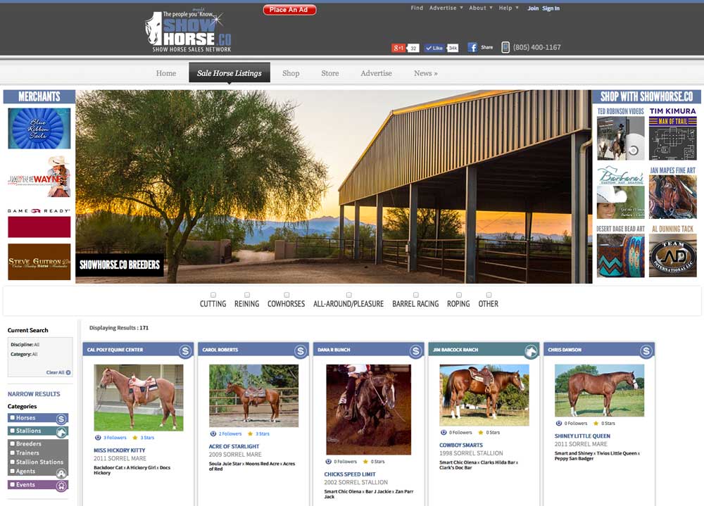 Equine Web Design