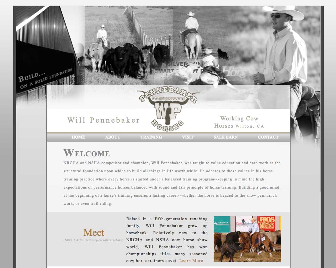 Equine Web Design