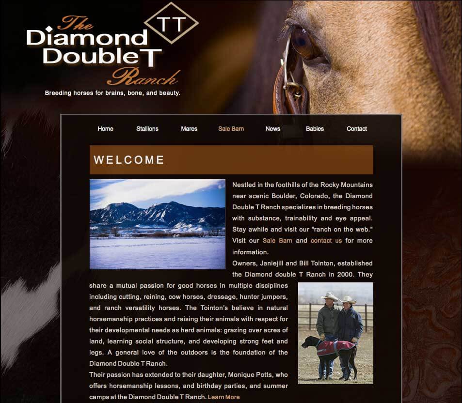 Equine Web Design 