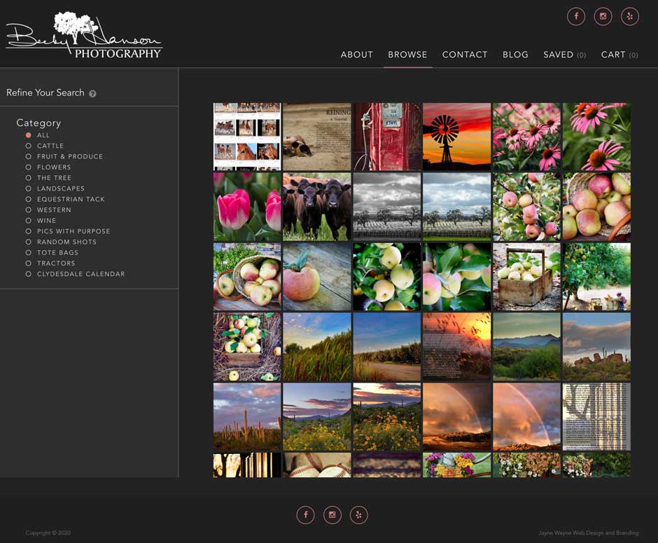 photography web design