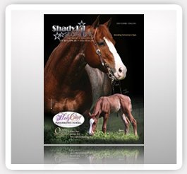 Stallion Advertising