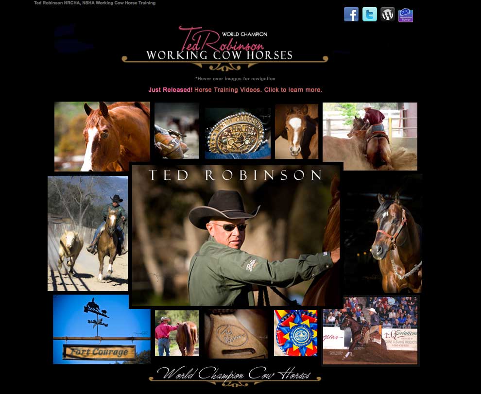 Equine Web Design Ted Robinson