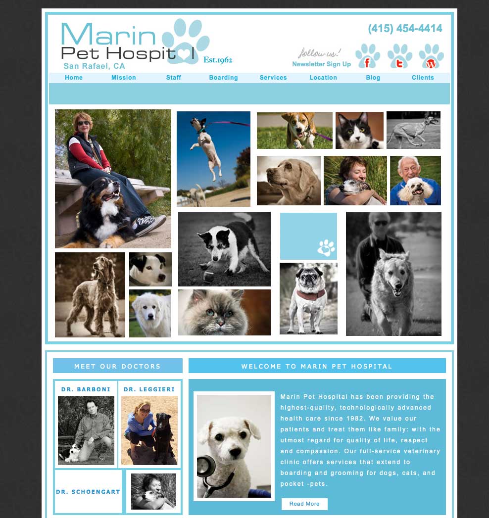 Veterinarian Web Design